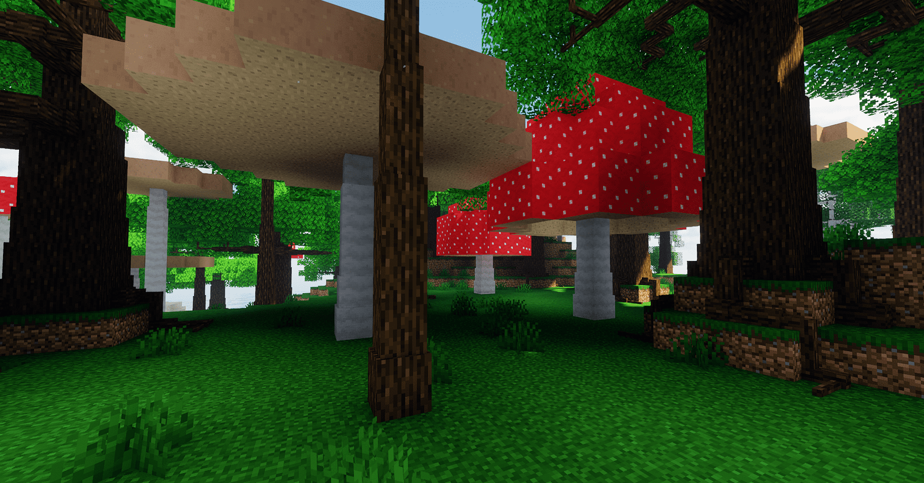 Dynamic Trees Plus Mod (1.19.2, 1.18.2) - More Than Just Trees 5