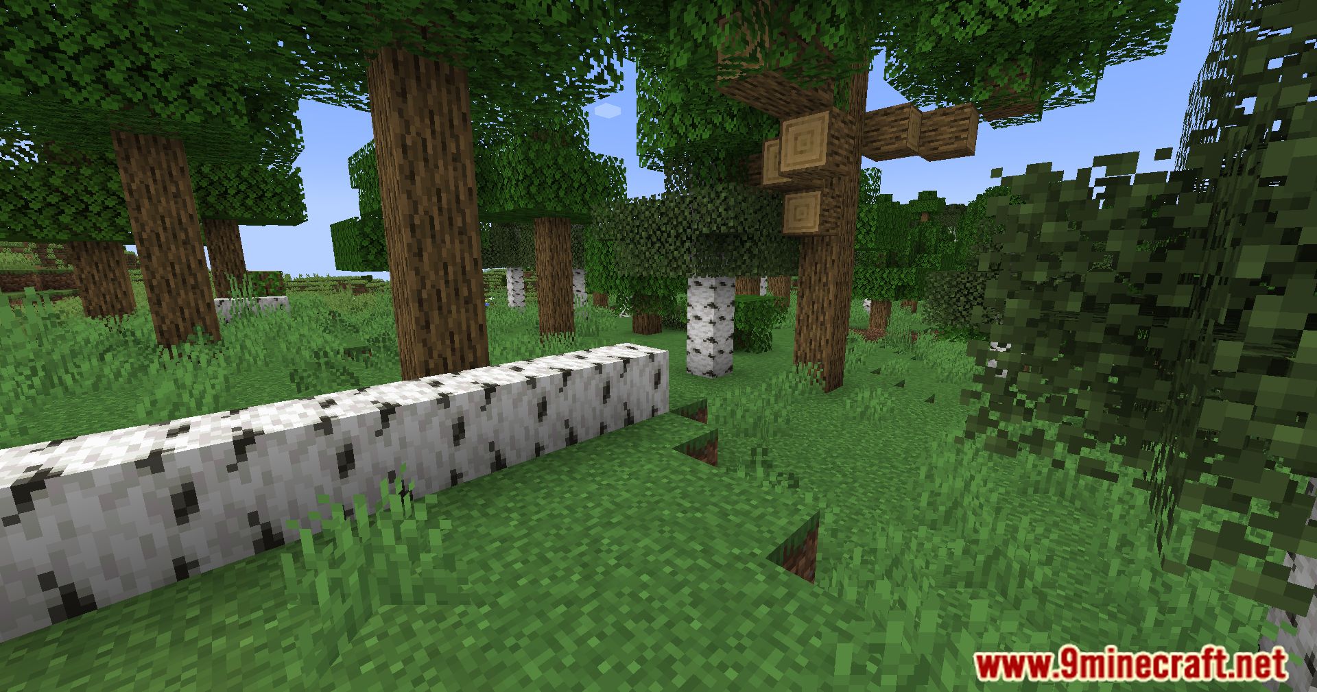 Geophilic Reforged Mod (1.20.2, 1.19.4) - Elevating Overworld Biomes With Subtle Refinement! 6