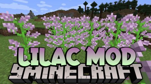 LiLaC Mod (1.20.4, 1.19.4) – Lib Lapis Core Thumbnail