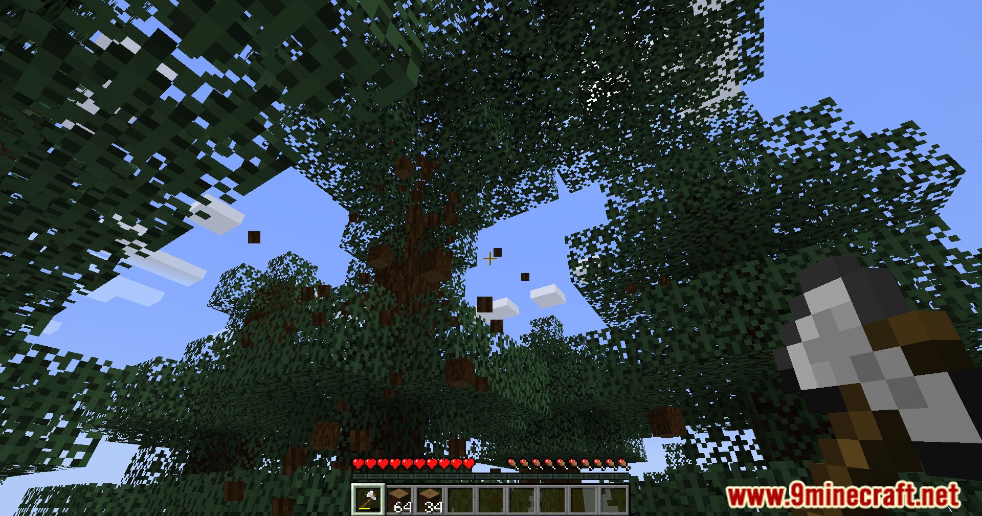 MYCF's Timber Mod (1.20.1, 1.19.3) - Streamlining Tree-Chopping 17