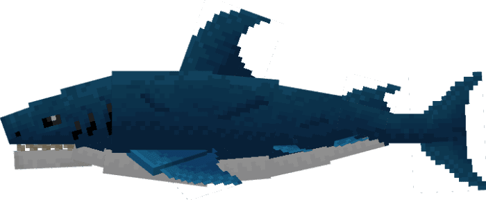 Megadolv Sharks Addon (1.20, 1.19) - MCPE/Bedrock Mod 2