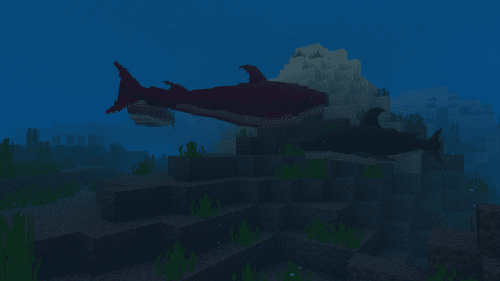 Megadolv Sharks Addon (1.20, 1.19) - MCPE/Bedrock Mod 5