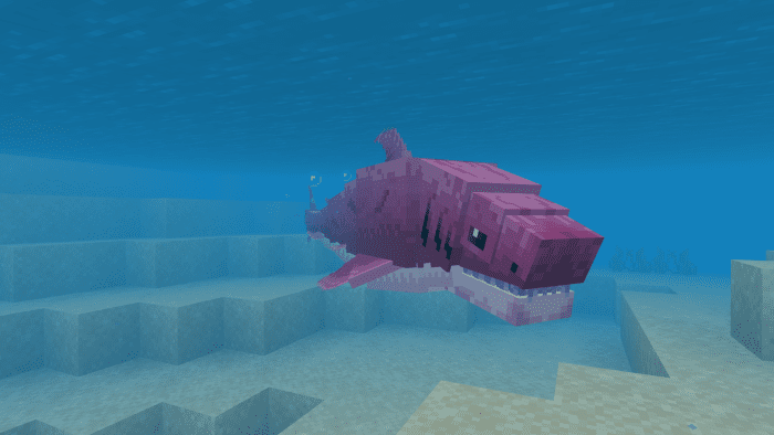 Megadolv Sharks Addon (1.20, 1.19) - MCPE/Bedrock Mod 8