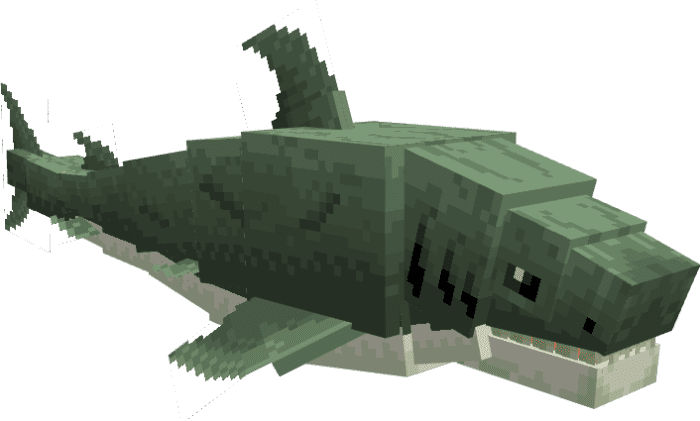 Megadolv Sharks Addon (1.20, 1.19) - MCPE/Bedrock Mod 9