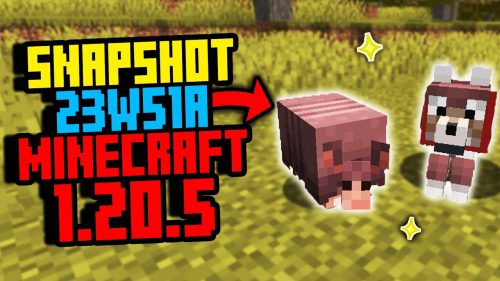 Minecraft 1.20.5 Snapshot 23w51a – Armadillos, Wolf Armor Thumbnail