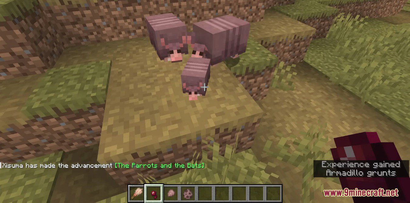 Minecraft 1.20.5 Snapshot 23w51a - Armadillos, Wolf Armor 16