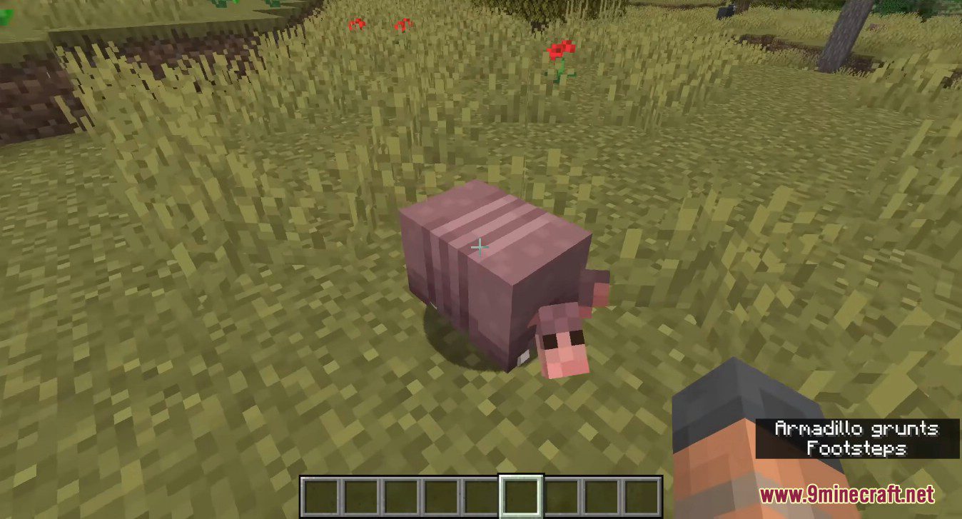 Minecraft 1.20.5 Snapshot 23w51a - Armadillos, Wolf Armor 5