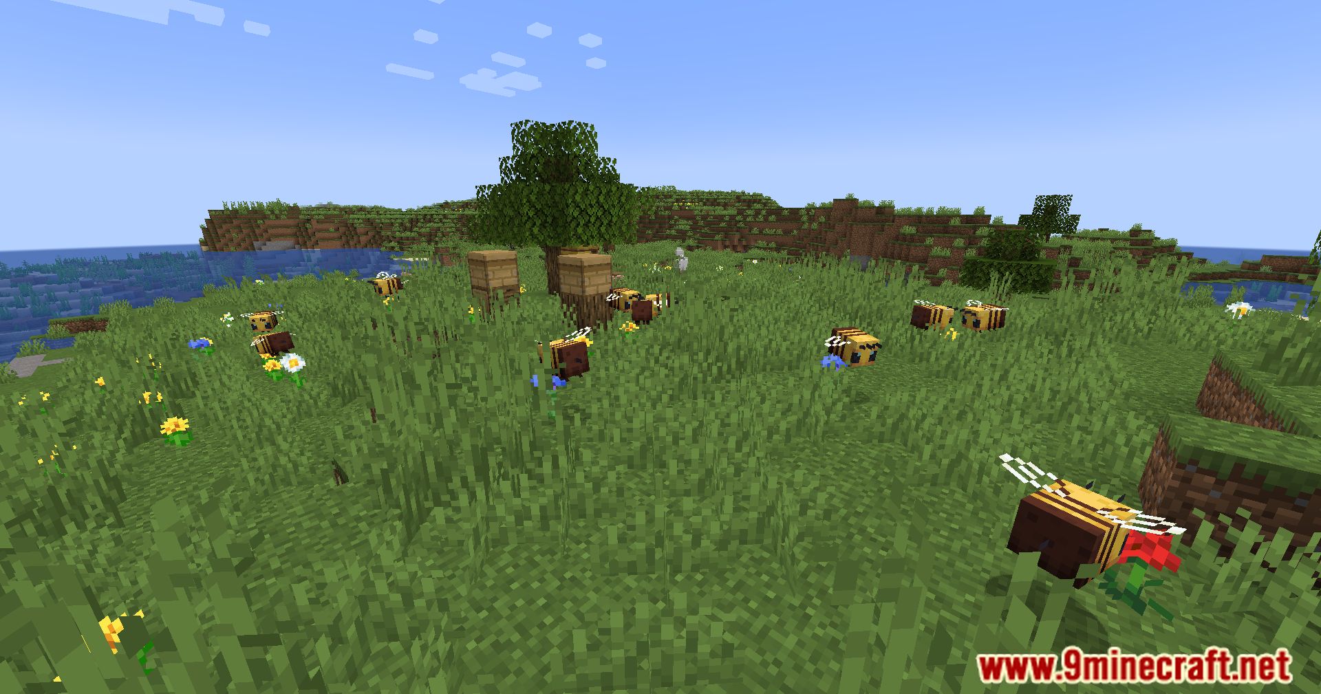 More Bee Info Mod (1.20.4, 1.19.4) - Enhance Your Beekeeping Experience 3