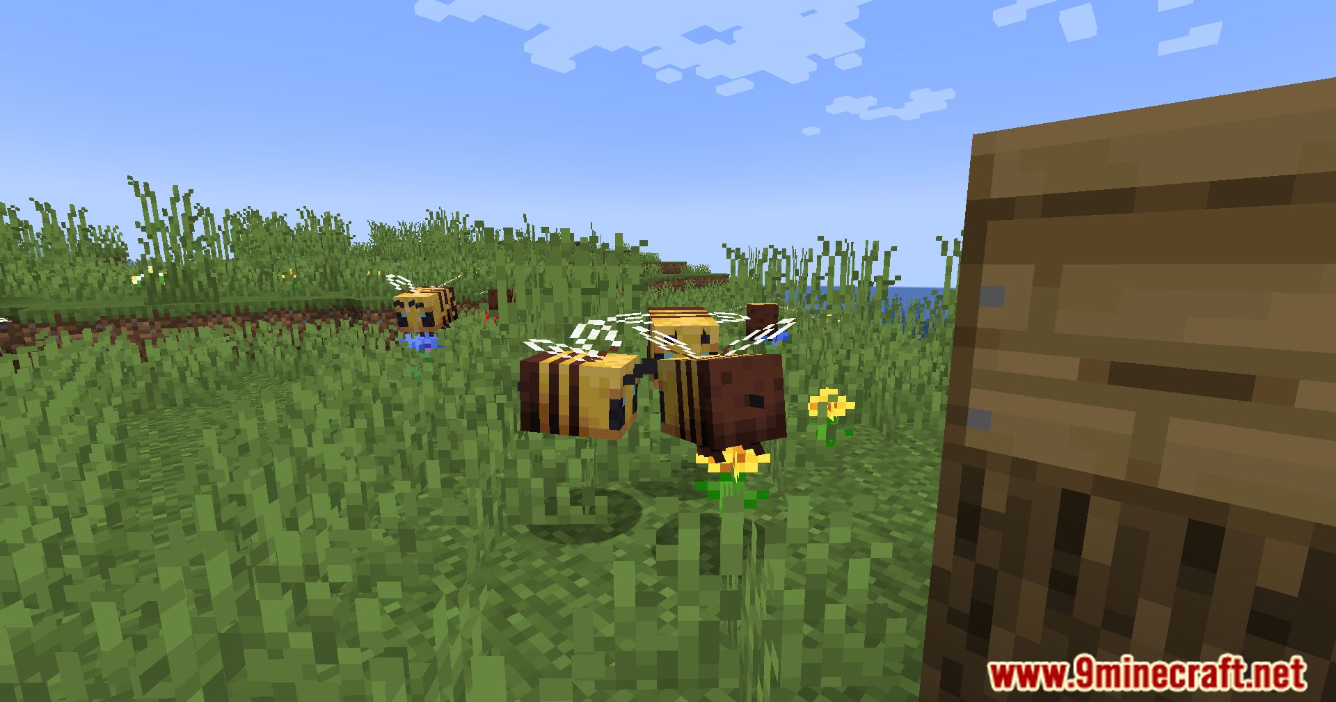 More Bee Info Mod (1.20.4, 1.19.4) - Enhance Your Beekeeping Experience 6