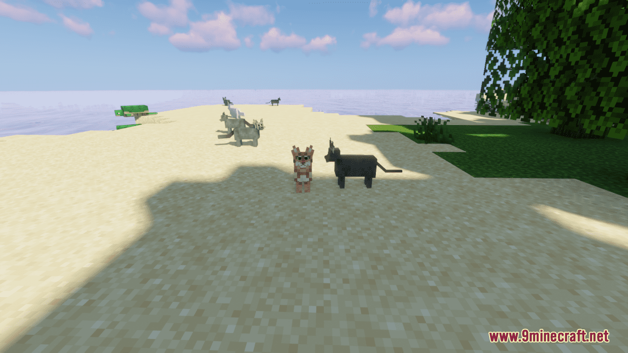 Mrblueyeti's Better Cats Resource Pack (1.20.6, 1.20.1) - Texture Pack 12