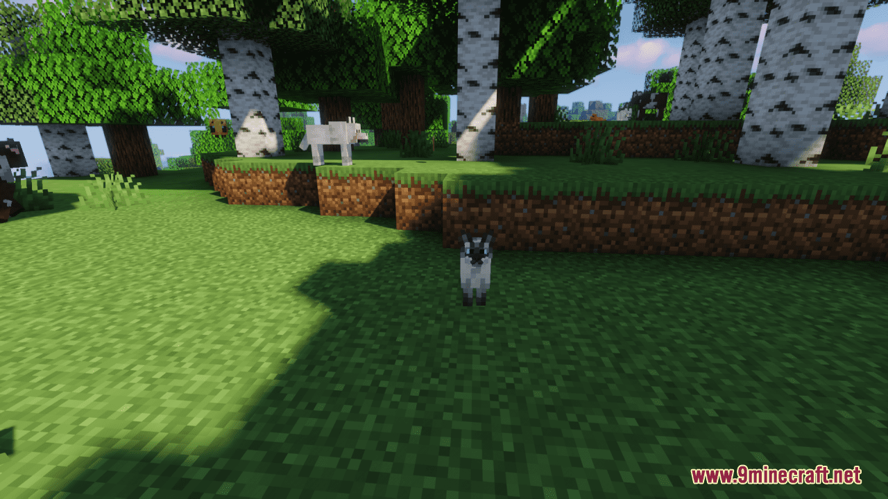 Mrblueyeti's Better Cats Resource Pack (1.20.6, 1.20.1) - Texture Pack 4