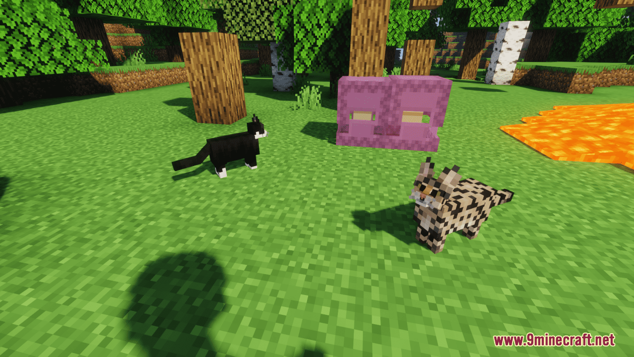 Mrblueyeti's Better Cats Resource Pack (1.20.6, 1.20.1) - Texture Pack 5