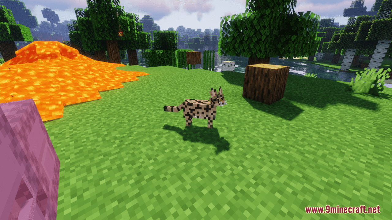 Mrblueyeti's Better Cats Resource Pack (1.20.6, 1.20.1) - Texture Pack 6