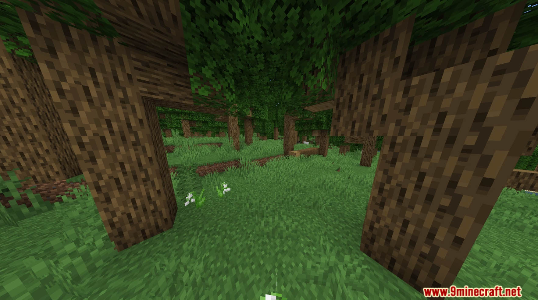 Overworld Plus Lite Data Pack (1.20.2, 1.19.4) - Improve Overworld Biomes And Make Generation Look Unreal! 3