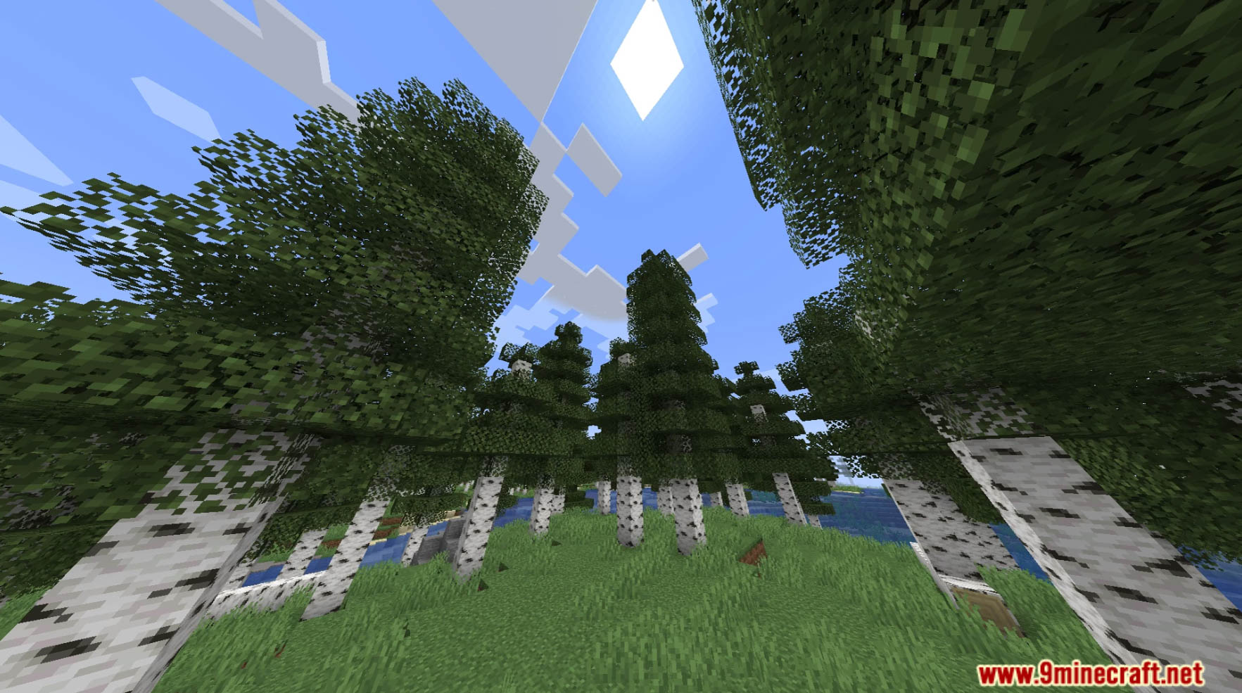 Overworld Plus Lite Data Pack (1.20.2, 1.19.4) - Improve Overworld Biomes And Make Generation Look Unreal! 4