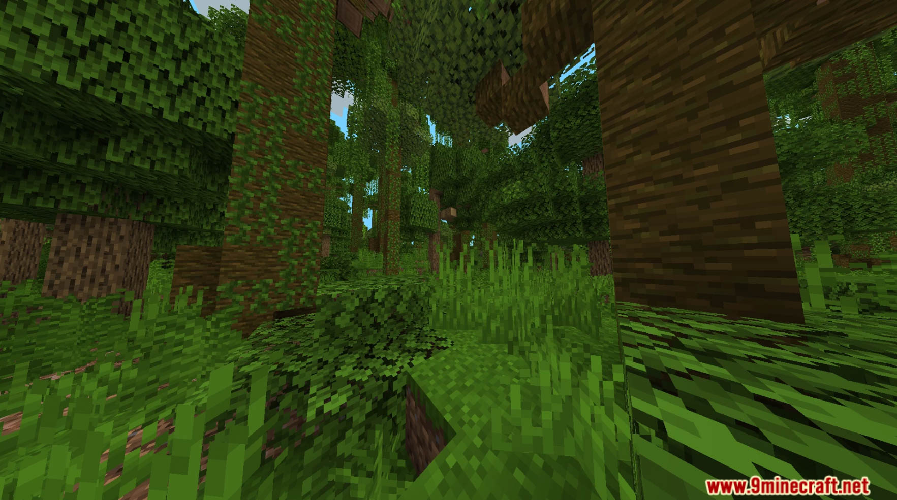 Overworld Plus Lite Data Pack (1.20.2, 1.19.4) - Improve Overworld Biomes And Make Generation Look Unreal! 8