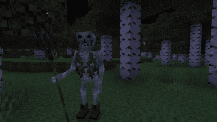 Phantom Skeletons Addon (1.20, 1.19) - MCPE/Bedrock Mod 7