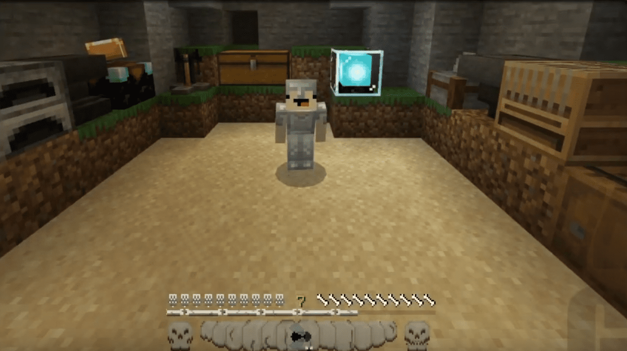 Skull and Bones Texture Pack (1.20, 1.19) - MCPE/Bedrock 5