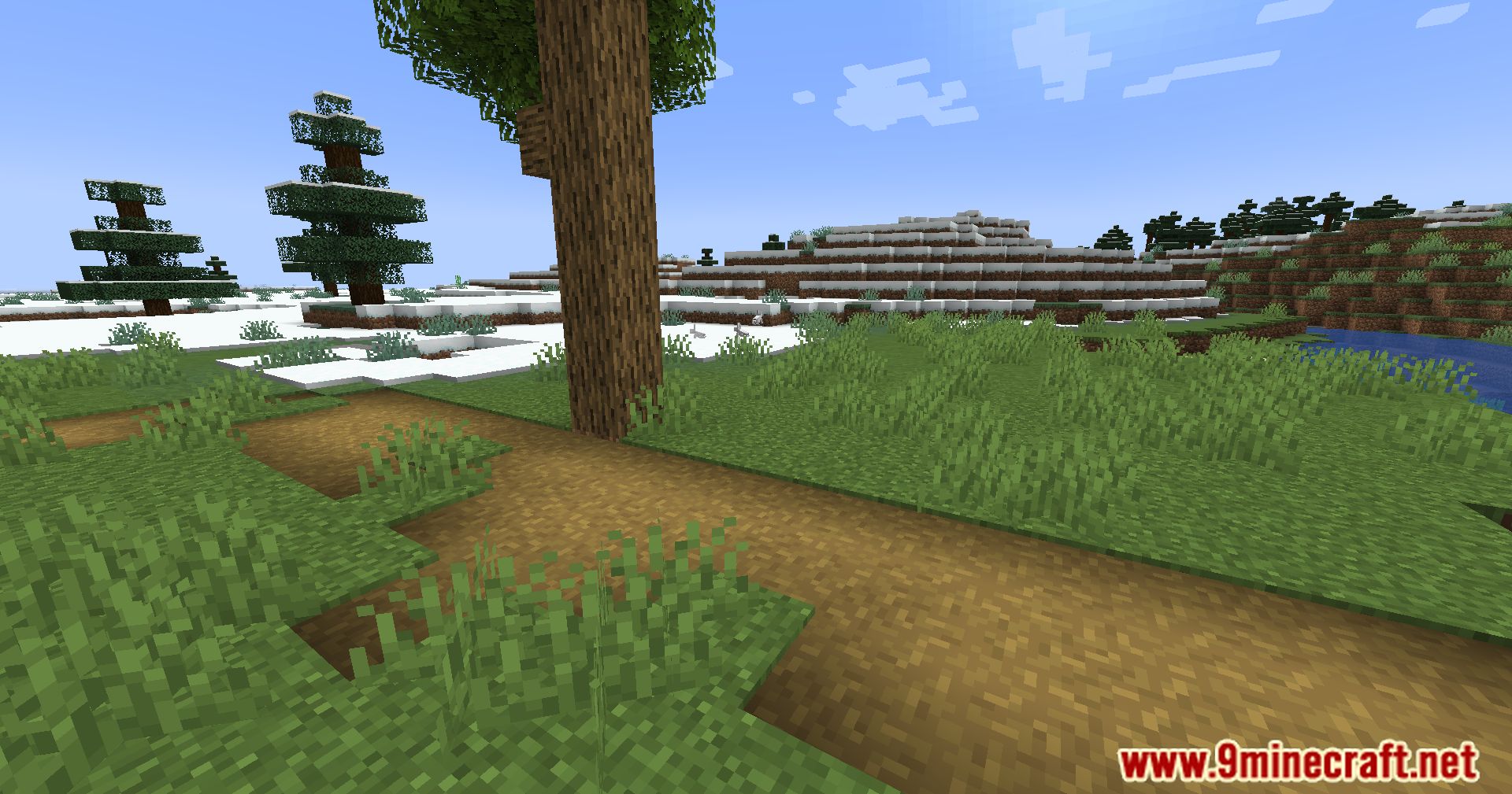 The Overgrowth Mod (1.20.1, 1.19.4) - Experience The Evolution Of Minecraft's Landscape! 9