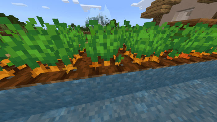 Variated Crops Texture Pack (1.20, 1.19) - MCPE/Bedrock 3