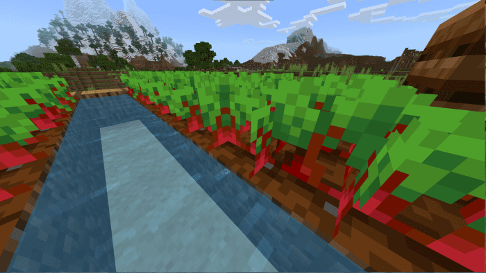 Variated Crops Texture Pack (1.20, 1.19) - MCPE/Bedrock 4