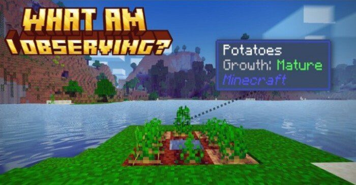 What Am I Observing Addon (1.20) - MCPE/Bedrock WAIO Mod 1