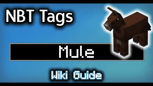 NBT Tags for Mule – Wiki Guide Thumbnail