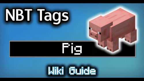 NBT Tags for Pig – Wiki Guide Thumbnail