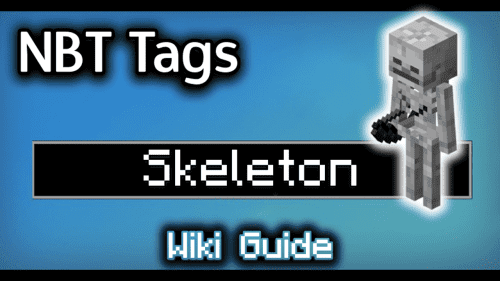 NBT Tags for Skeleton – Wiki Guide Thumbnail