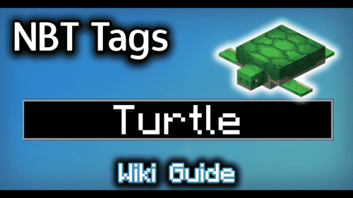 NBT Tags for Turtle – Wiki Guide Thumbnail