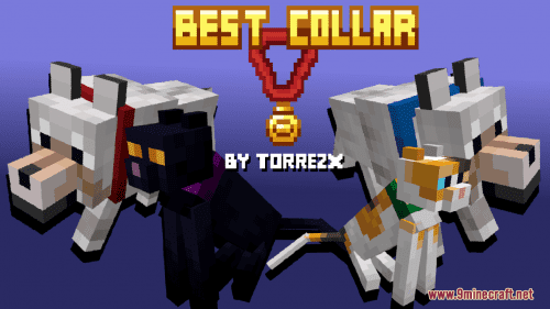 Best Collar Resource Pack (1.20.4, 1.19.4) – Texture Pack Thumbnail
