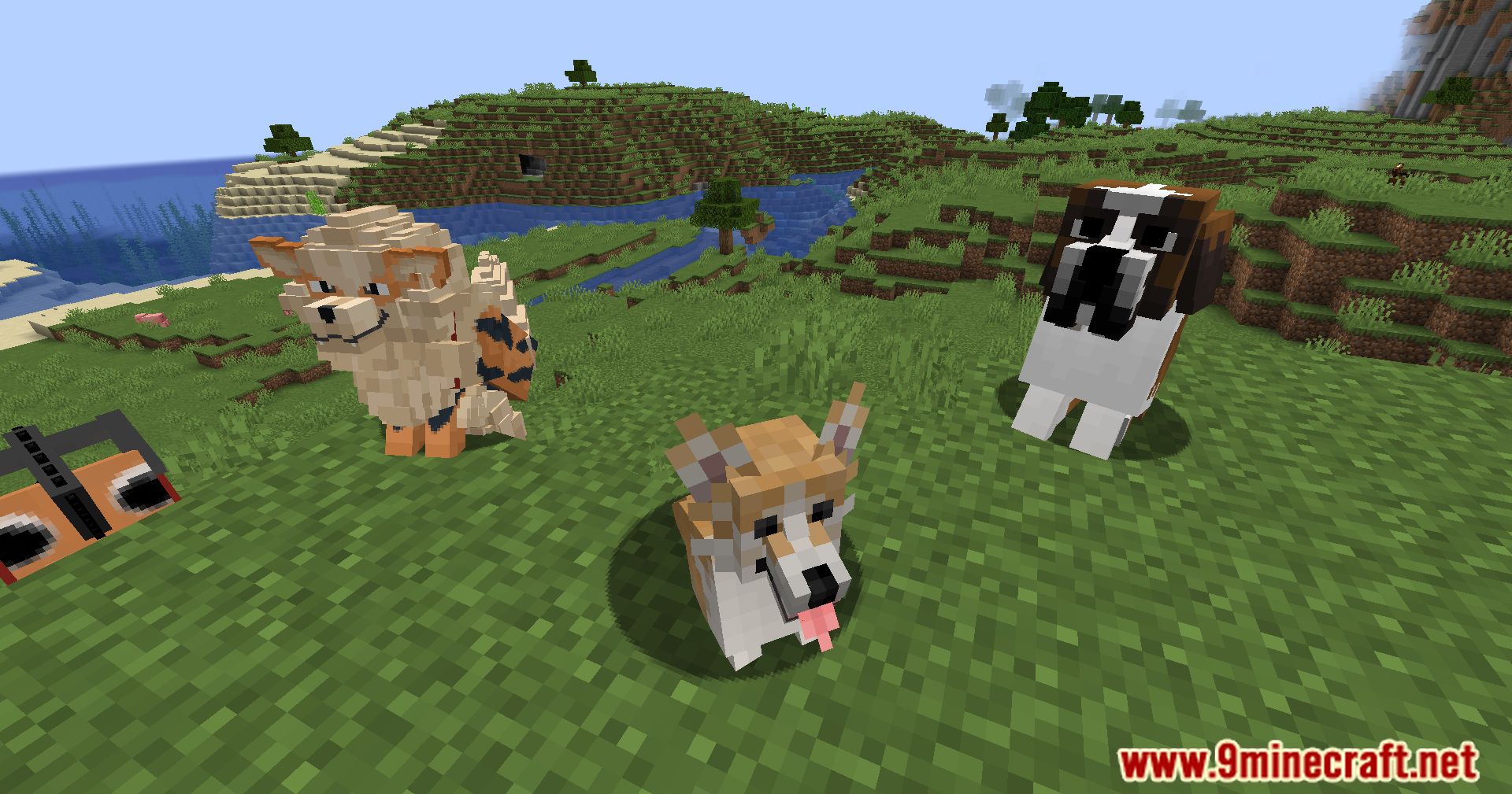 Better Dogs X Doggy Talents Next Mod (1.20.1, 1.19.2) - Enhancing Canine Companionship 15
