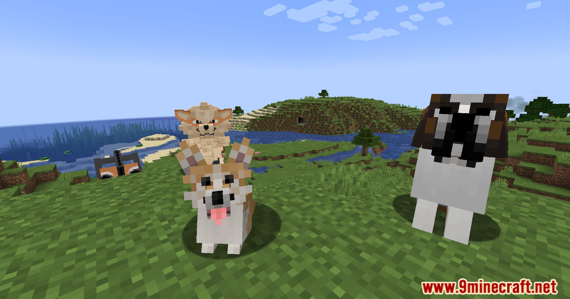 Better Dogs X Doggy Talents Next Mod (1.20.1, 1.19.2) - Enhancing Canine Companionship 16