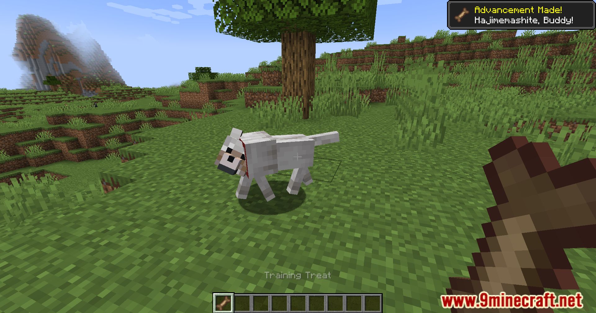 Better Dogs X Doggy Talents Next Mod (1.20.1, 1.19.2) - Enhancing Canine Companionship 4