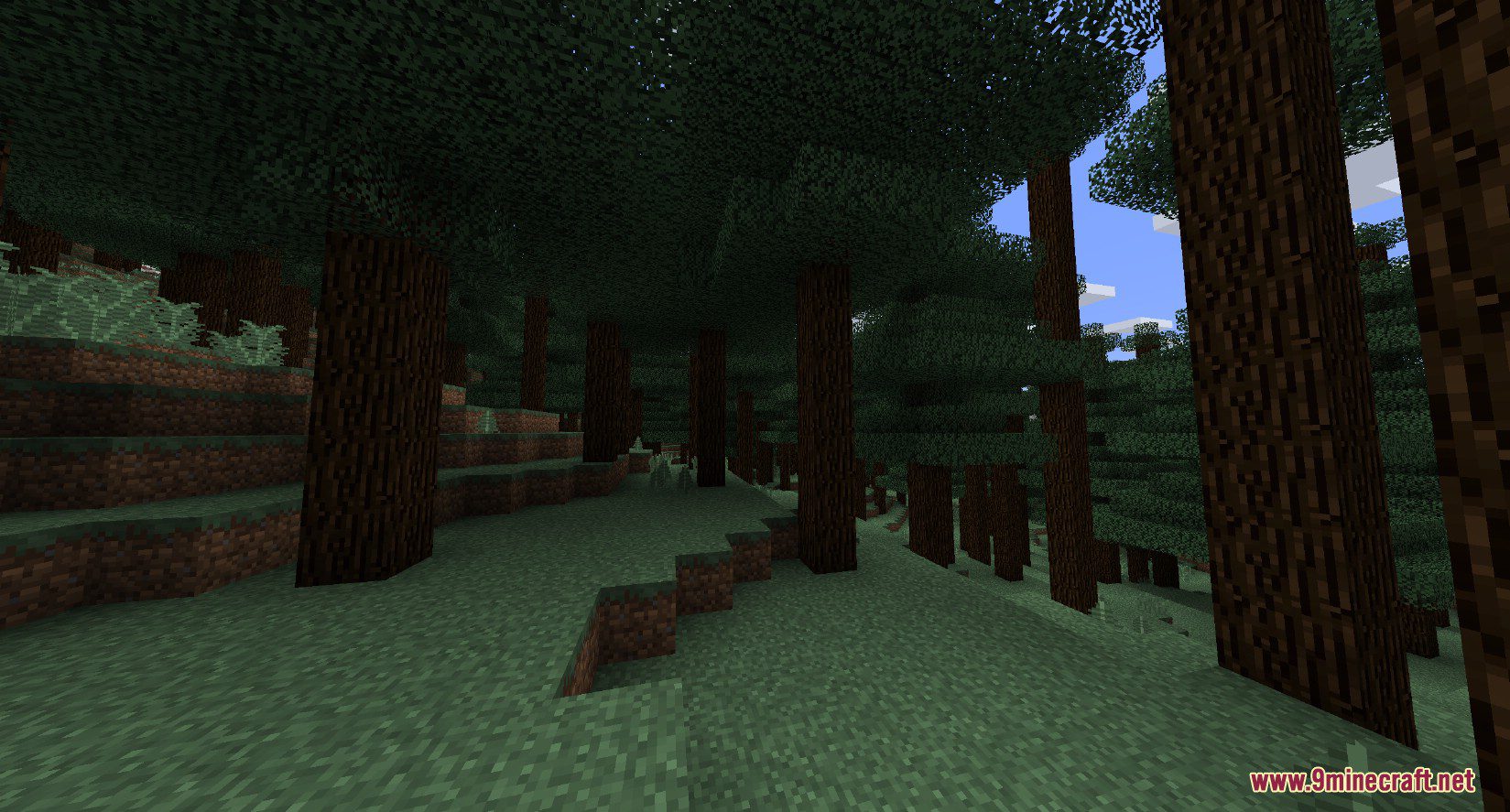 Better Trees Mod (1.20.1, 1.19.4) - Improve The Overworld Trees 12