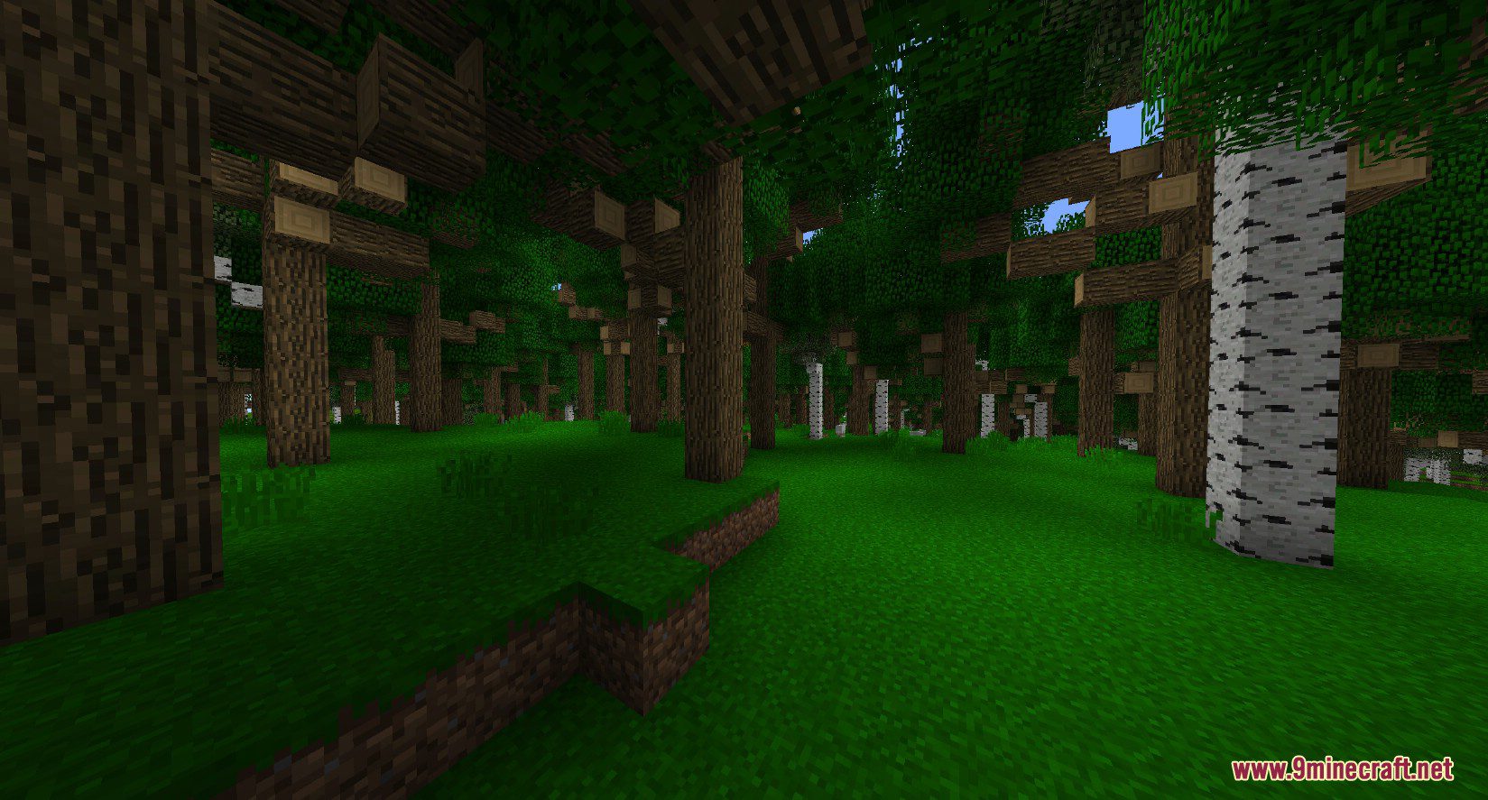 Better Trees Mod (1.20.1, 1.19.4) - Improve The Overworld Trees 7