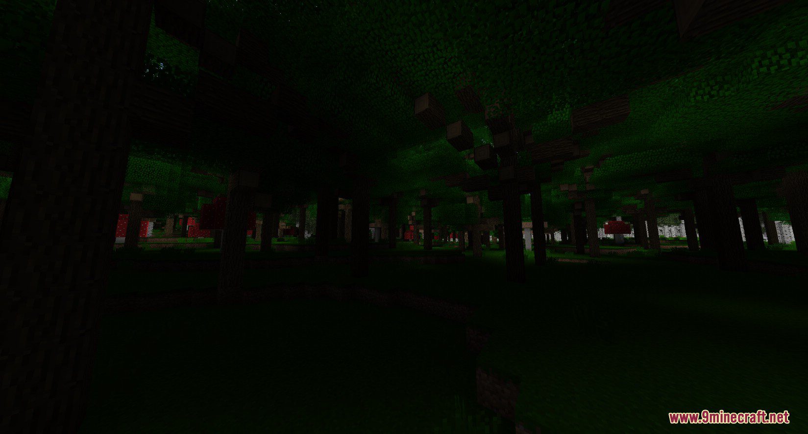 Better Trees Mod (1.20.1, 1.19.4) - Improve The Overworld Trees 10