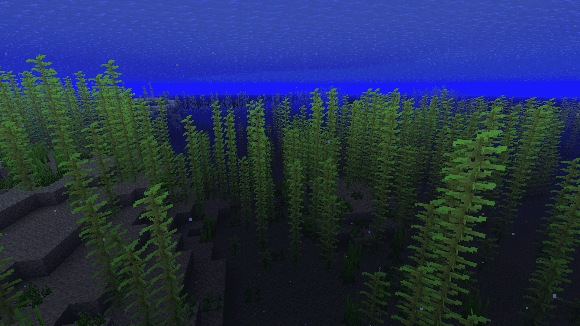 PricelessKoala Clear Water Mod (1.20.1, 1.19.2) - No More Water Fog! 3