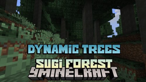 Dynamic Trees Sugi Forest Mod (1.12.2) – Compatibility Addon Thumbnail