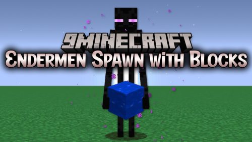 Endermen Spawn with Blocks Mod (1.20.1, 1.19.4) – Make Endermen More Useful Thumbnail