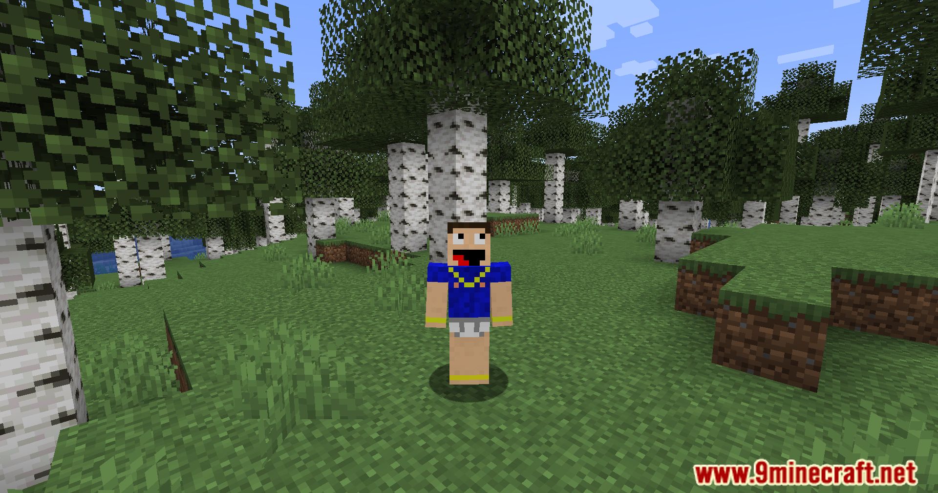 Everlasting Skins Mod (1.20.2, 1.19.4) - Explore Instant Skin Changes 4