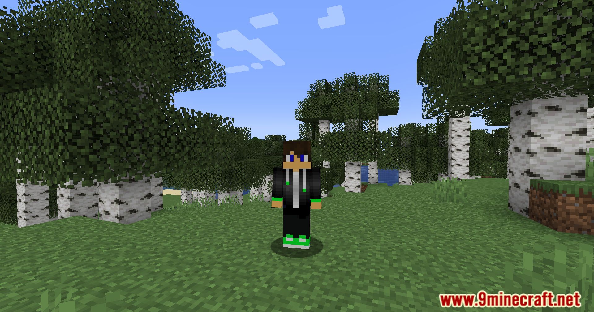 Everlasting Skins Mod (1.20.2, 1.19.4) - Explore Instant Skin Changes 7