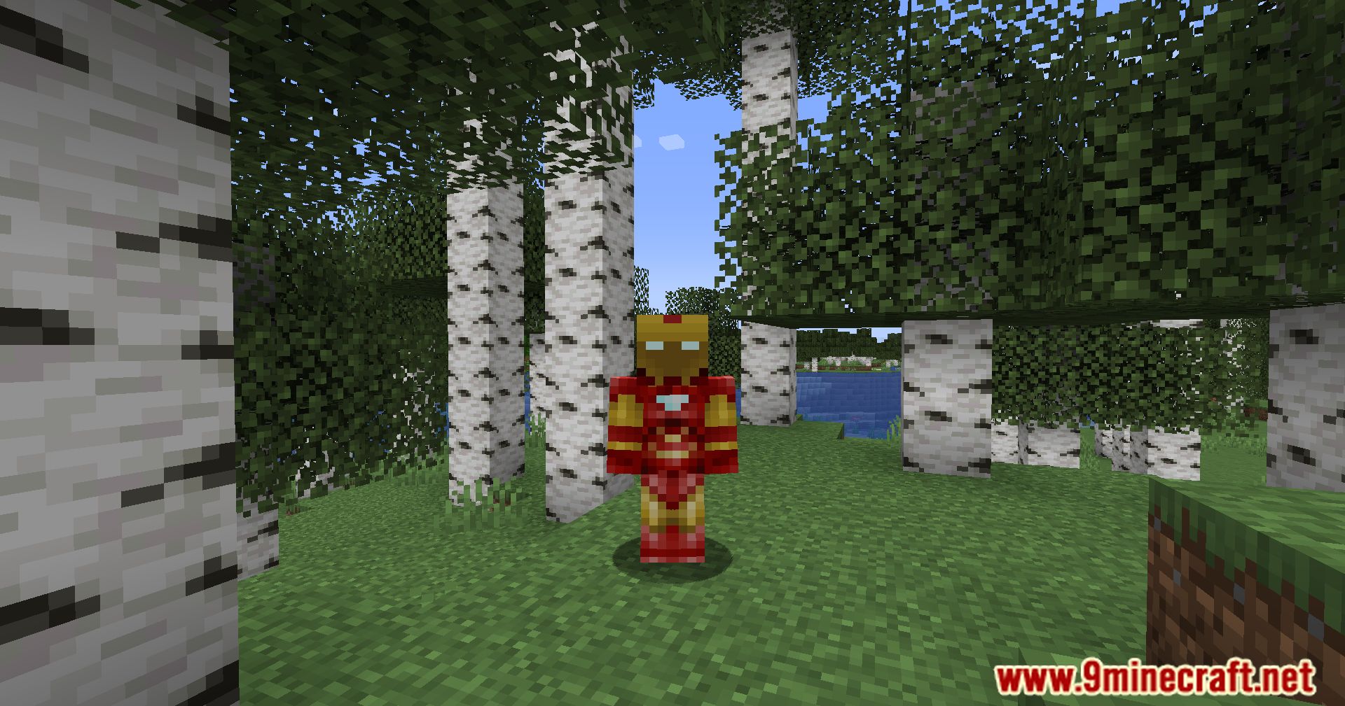 Everlasting Skins Mod (1.20.2, 1.19.4) - Explore Instant Skin Changes 9