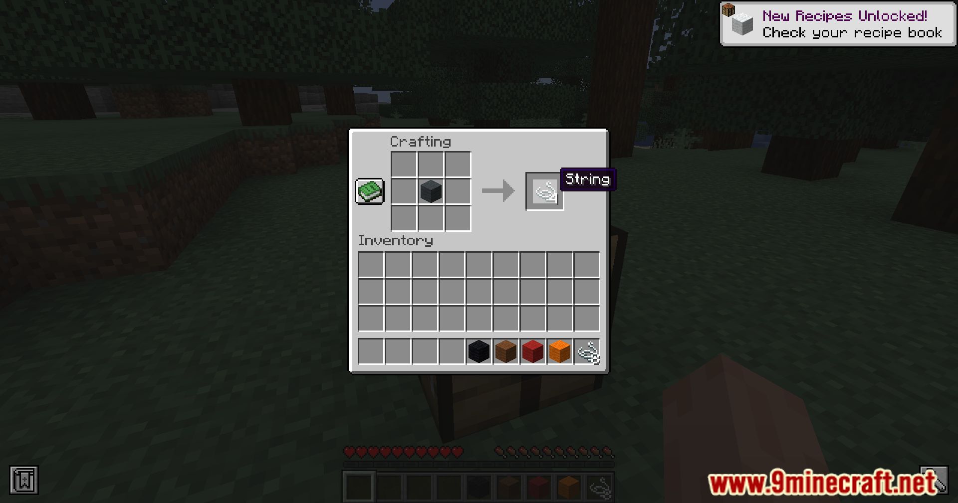 Exline's Wool To String Mod (1.20.4, 1.19.4) - Wool Transformed 6