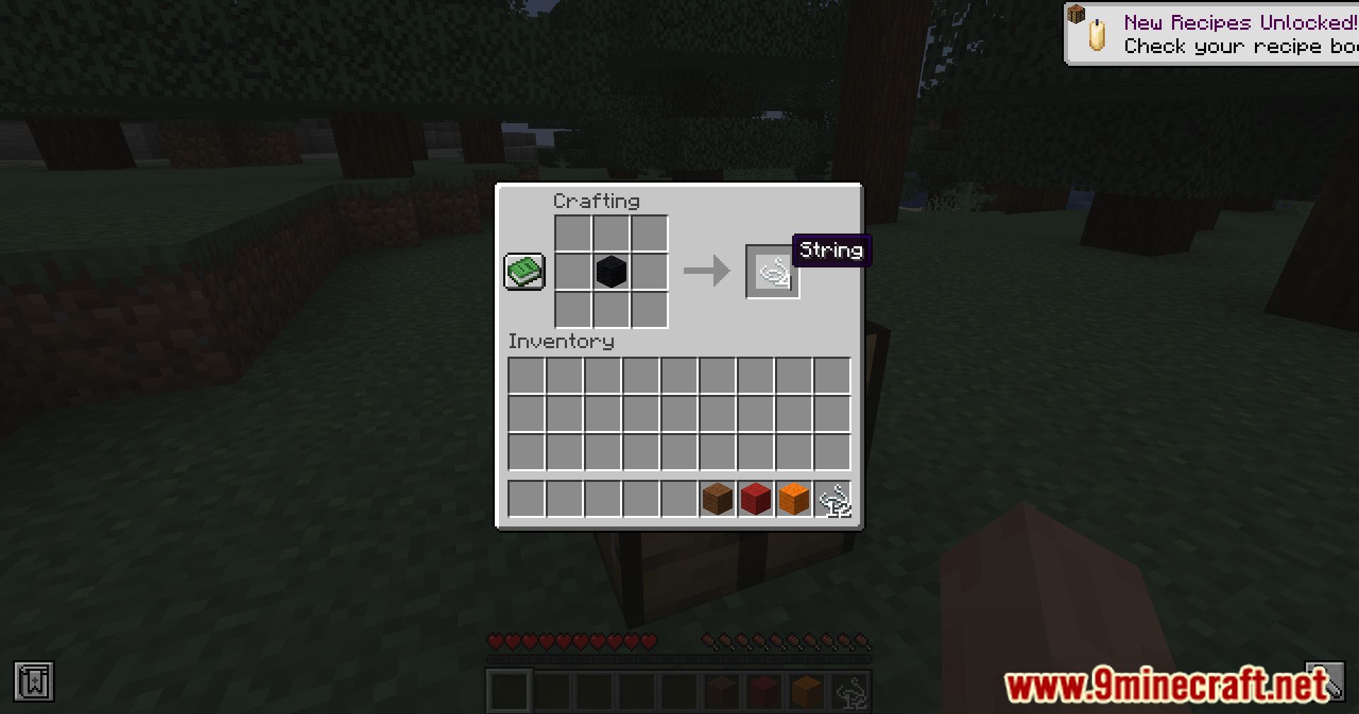 Exline's Wool To String Mod (1.20.4, 1.19.4) - Wool Transformed 7