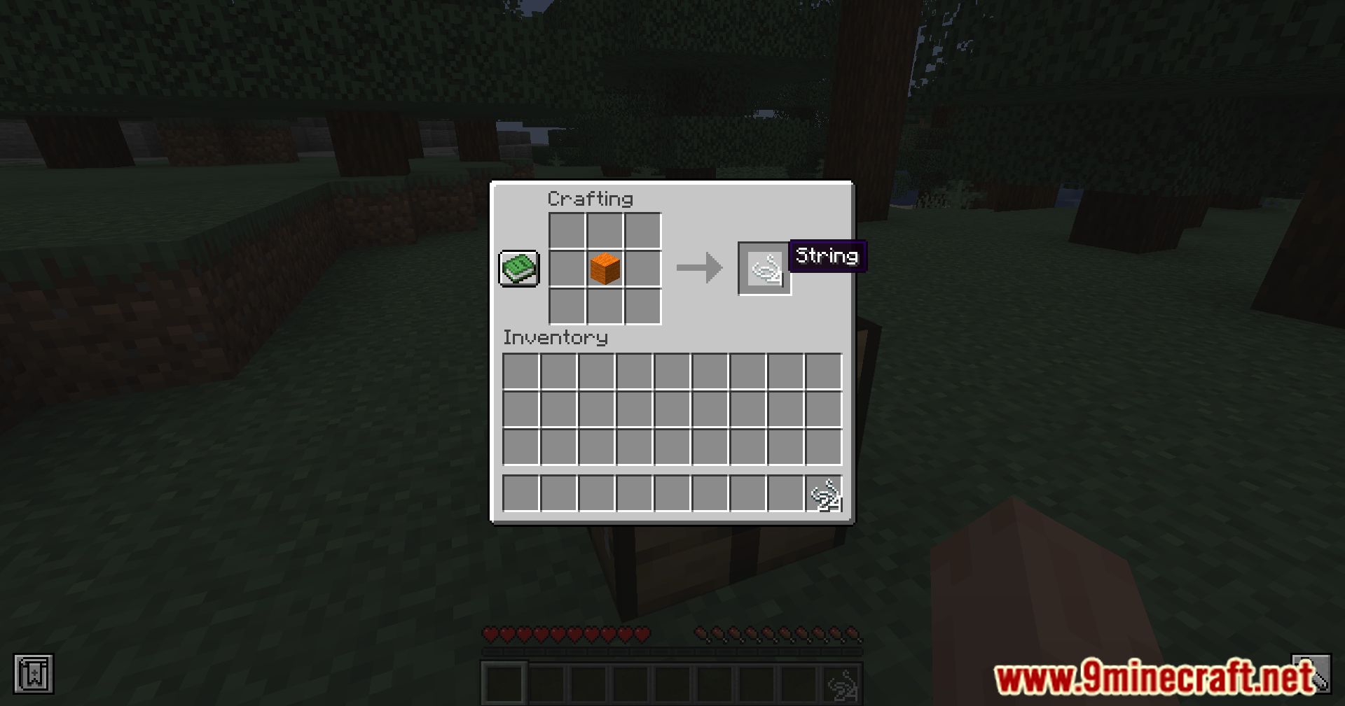 Exline's Wool To String Mod (1.20.4, 1.19.4) - Wool Transformed 10