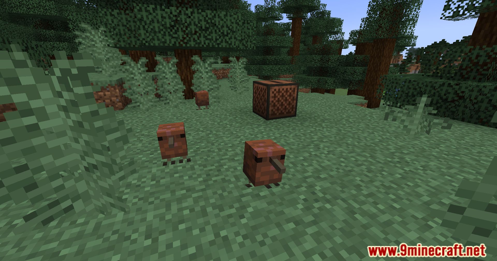 Kiwi Boi Mod (1.20.1, 1.19.2) - Embrace The Charm Of Kiwi Birds 5