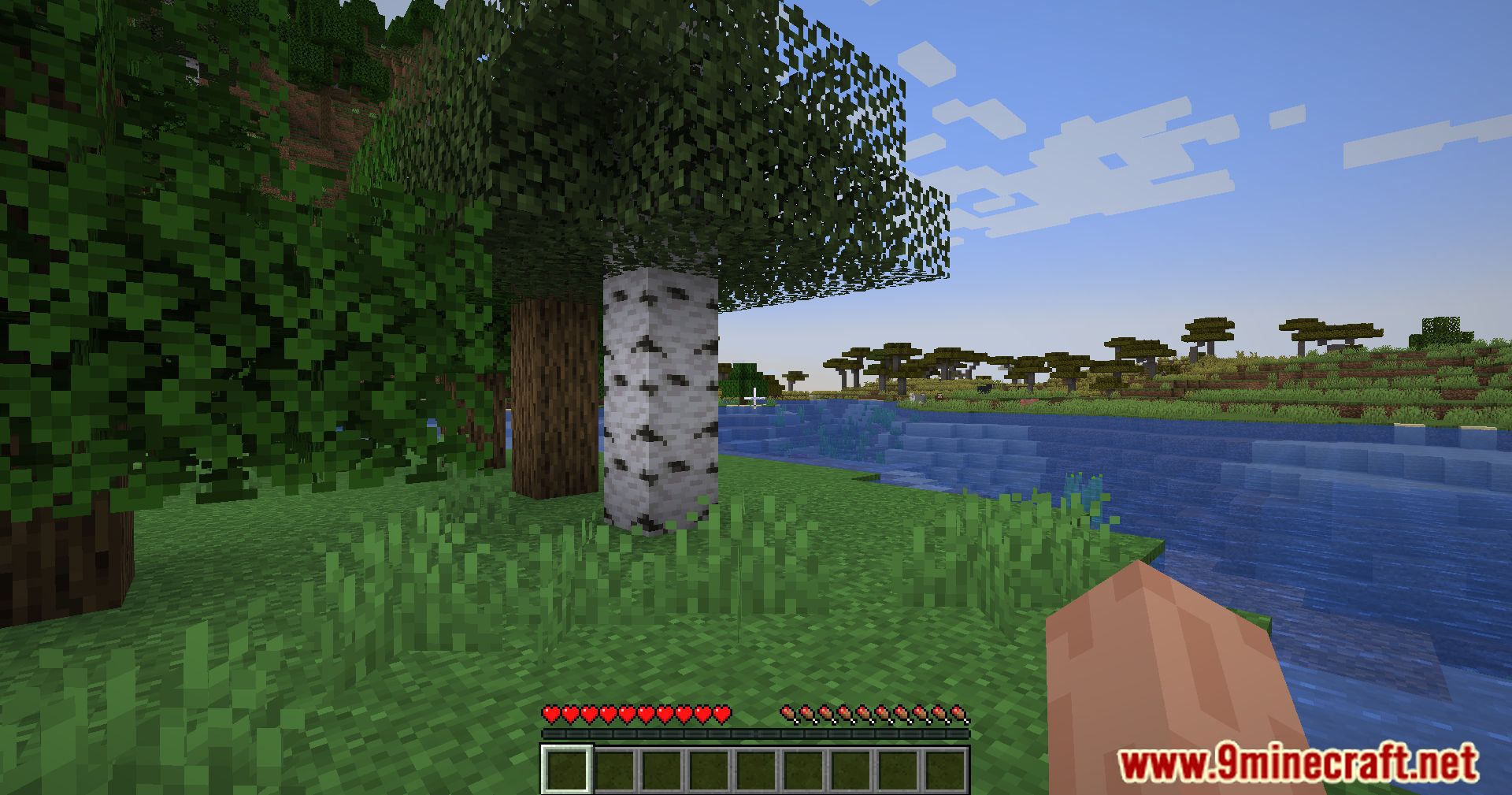 No Screen Bobbing Mod (1.20.1, 1.19.4) - Visual Serenity, Customize Your View!!! 3