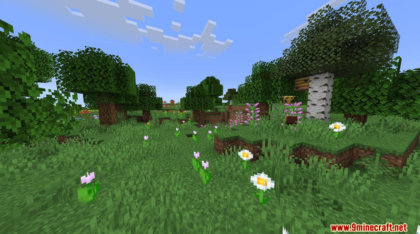 Regrown Data Pack (1.20.4, 1.19.4) - Minecraft's Nature Reimagined! 5