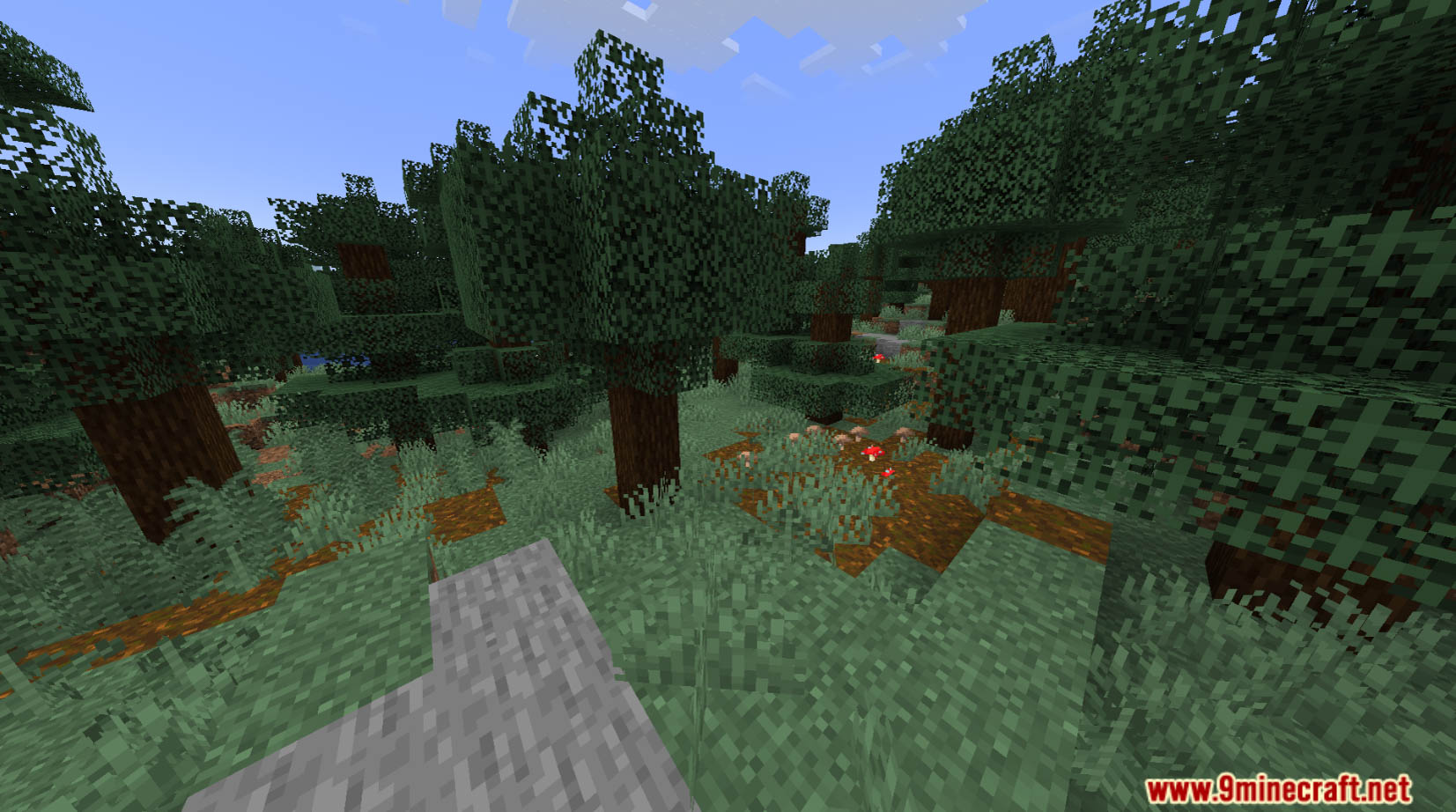 Regrown Data Pack (1.20.4, 1.19.4) - Minecraft's Nature Reimagined! 6